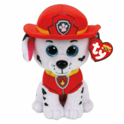 Ty Marshall Paw Patrol...